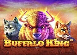 Buffalo King [site name] Casino Slot