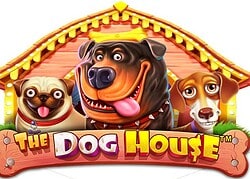 Dog House [site name] Casino Game